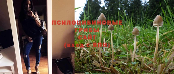 бутират Абаза