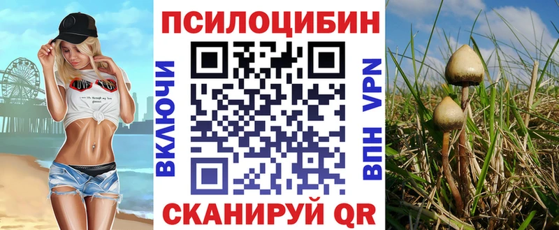 продажа наркотиков  Хабаровск  Псилоцибиновые грибы MAGIC MUSHROOMS 