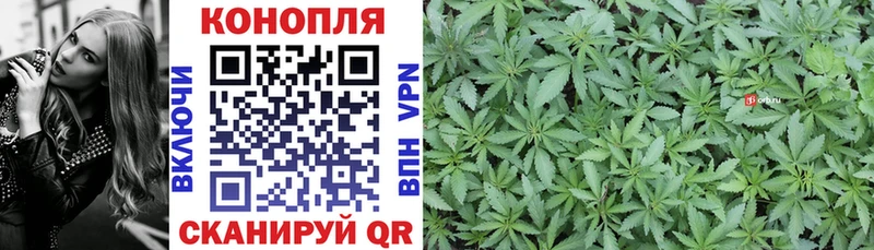 Бошки Шишки OG Kush  это телеграм  Хабаровск  наркотики 